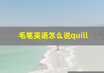 毛笔英语怎么说quill