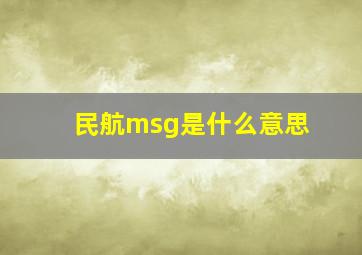 民航msg是什么意思