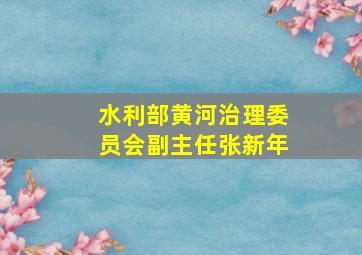 水利部黄河治理委员会副主任张新年