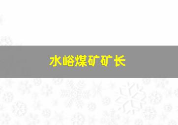 水峪煤矿矿长