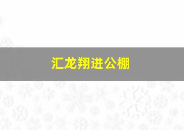 汇龙翔进公棚