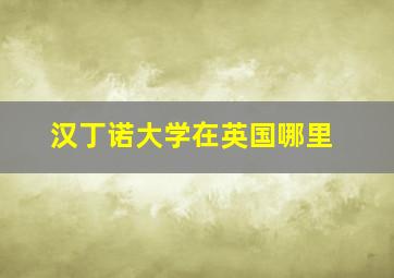 汉丁诺大学在英国哪里