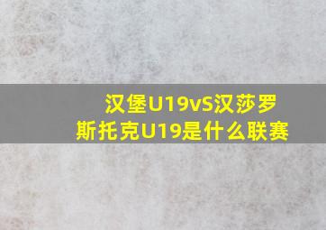 汉堡U19vS汉莎罗斯托克U19是什么联赛