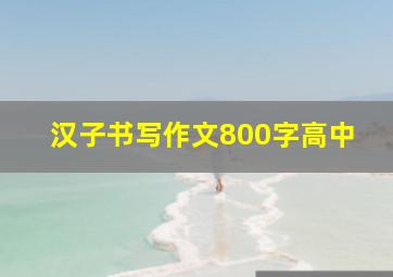 汉子书写作文800字高中