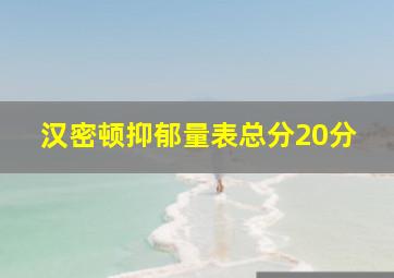 汉密顿抑郁量表总分20分