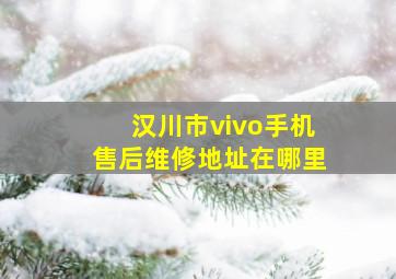 汉川市vivo手机售后维修地址在哪里