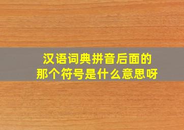 汉语词典拼音后面的那个符号是什么意思呀