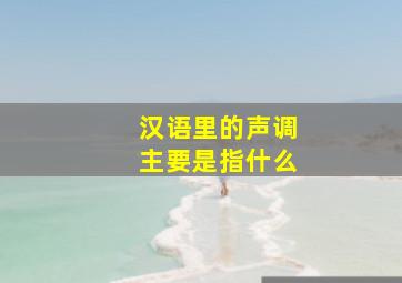 汉语里的声调主要是指什么