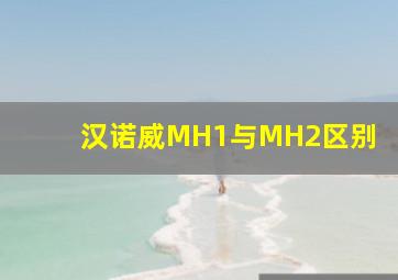 汉诺威MH1与MH2区别