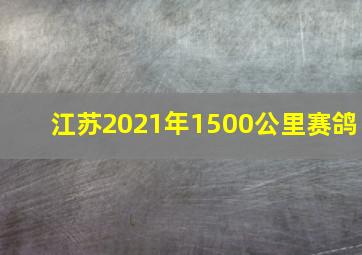 江苏2021年1500公里赛鸽