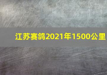 江苏赛鸽2021年1500公里