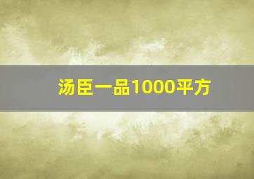 汤臣一品1000平方