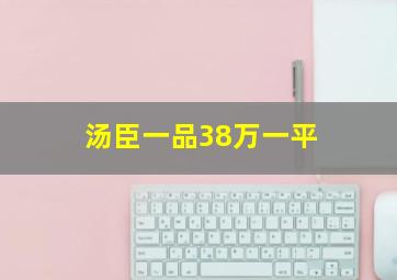 汤臣一品38万一平