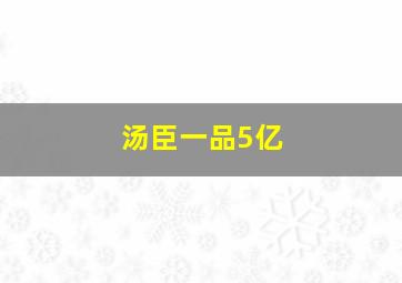 汤臣一品5亿