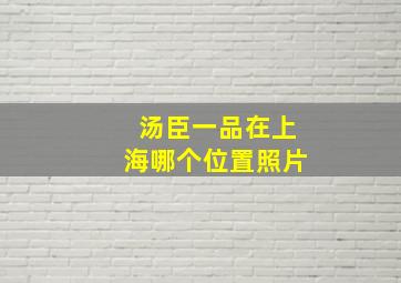 汤臣一品在上海哪个位置照片