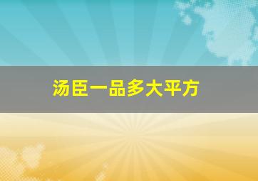 汤臣一品多大平方