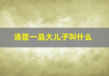 汤臣一品大儿子叫什么