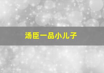 汤臣一品小儿子