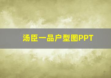 汤臣一品户型图PPT