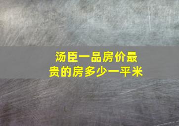 汤臣一品房价最贵的房多少一平米