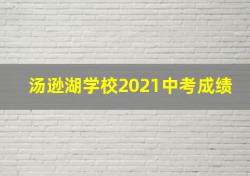 汤逊湖学校2021中考成绩