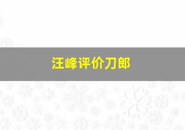 汪峰评价刀郎