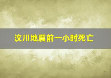 汶川地震前一小时死亡