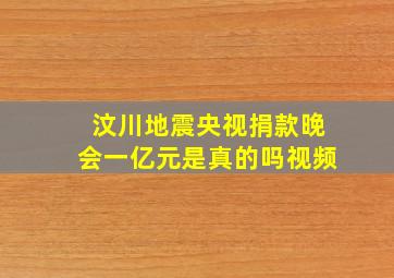 汶川地震央视捐款晚会一亿元是真的吗视频