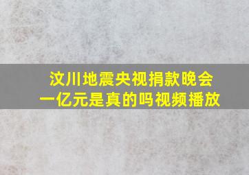 汶川地震央视捐款晚会一亿元是真的吗视频播放