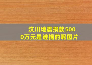 汶川地震捐款5000万元是谁捐的呢图片