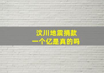 汶川地震捐款一个亿是真的吗