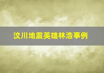 汶川地震英雄林浩事例