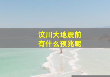 汶川大地震前有什么预兆呢