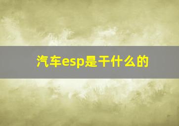 汽车esp是干什么的