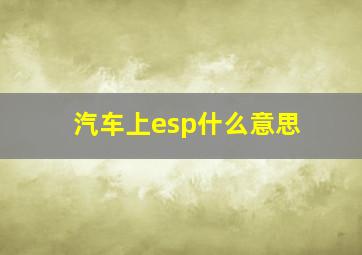 汽车上esp什么意思