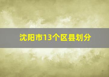 沈阳市13个区县划分