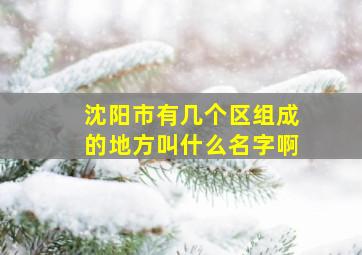 沈阳市有几个区组成的地方叫什么名字啊