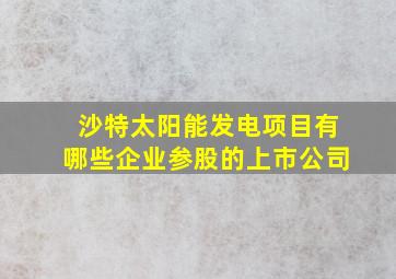 沙特太阳能发电项目有哪些企业参股的上市公司