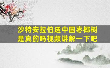 沙特安拉伯送中国枣椰树是真的吗视频讲解一下吧