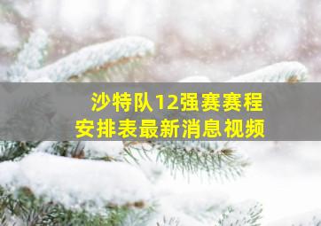 沙特队12强赛赛程安排表最新消息视频