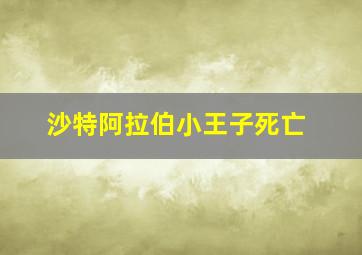 沙特阿拉伯小王子死亡