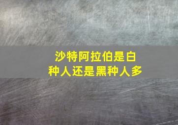 沙特阿拉伯是白种人还是黑种人多