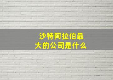 沙特阿拉伯最大的公司是什么