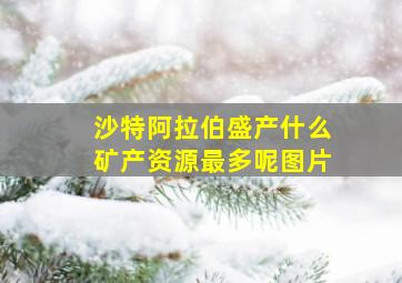 沙特阿拉伯盛产什么矿产资源最多呢图片