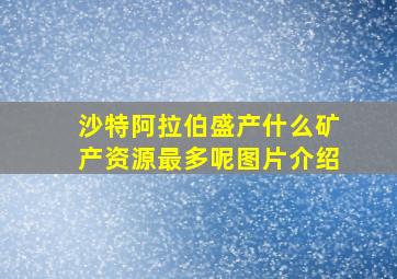 沙特阿拉伯盛产什么矿产资源最多呢图片介绍