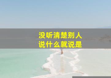 没听清楚别人说什么就说是