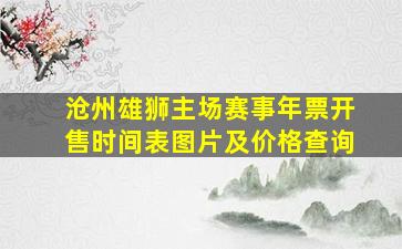 沧州雄狮主场赛事年票开售时间表图片及价格查询