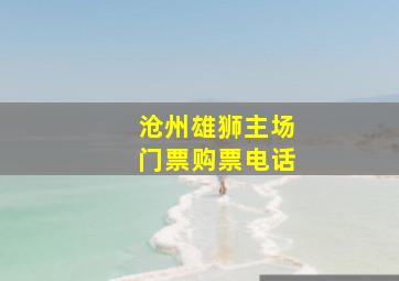 沧州雄狮主场门票购票电话