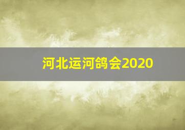 河北运河鸽会2020