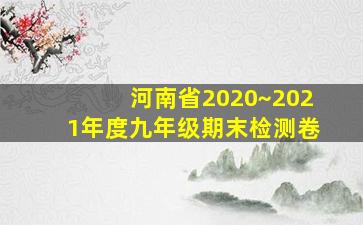 河南省2020~2021年度九年级期末检测卷